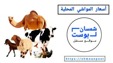 اسعار المواشي المحليه في عدن اليوم الثلاثاء 17-9-2024م 6
