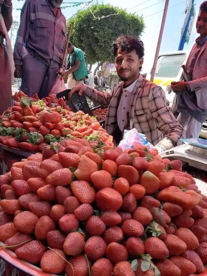 فاكهة تغزو الأسواق اليمنية بأسعار مغرية وجودة عالية