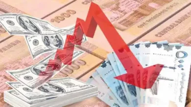 خبير اقتصادي يكشف أسباب انهيار العملة الوطنية 8