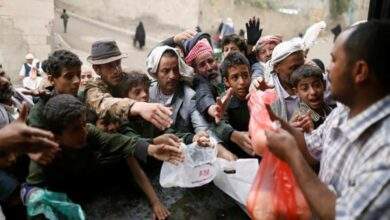 الأمم المتحدة: 17.6 مليون يمني تحت وطأة انعدام الأمن الغذائي 8