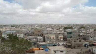 أهالي المضاربة بلحج يطالبون بدعمهم لمواجهة وباء خطير انتشر بمناطقهم 7
