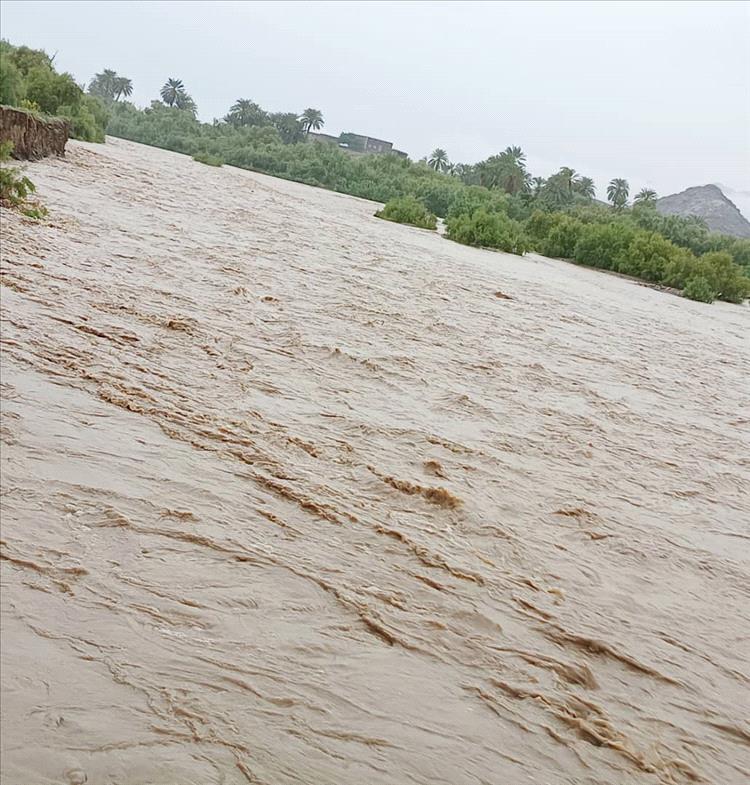 سيول جارفة وأمطار غزيرة تضرب محافظة جنوبية..