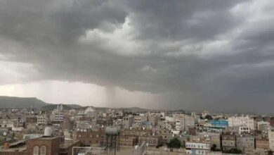 الأرصاد تحذر: طقس شديد البرودة يضرب المرتفعات وأجواء متقلبة بالسواحل 8