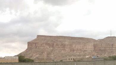 ثورة الجياع تطالب التحالف بمساواة مرتبات العسكريين والمدنيين مع القوات التابعة له 8