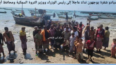 صيادو شقرة يوجهون نداءً عاجلاً إلى رئيس الوزراء ووزير الثروة السمكية ومحافظ أبين 8