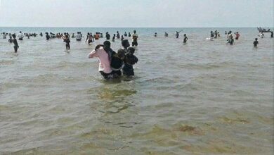 شبوة وصول 336 مهاجرًا غير شرعي 6