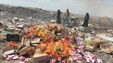 صحة بيئة المنصورة تتلف 3 طن لمواد غذائية متنوعة غير صالحة للاستهلاك 6