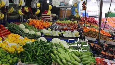 أسعار الخضار والفواكه في عدن اليوم الاثنين 3 فبراير 2025 9