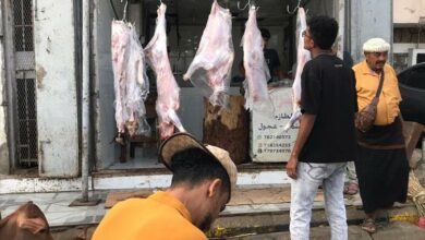 حملة تفتيشية قبيل الشهر الفضيل لضبط أسعار اللحوم بعدن 4