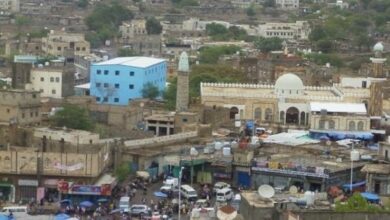 المساحة الجيولوجية: لا صحة لوجود ذهب أو يورانيوم في محافظة الضالع 1