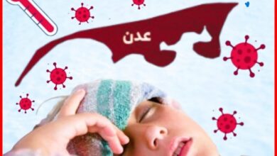 بعد تزايد القلق... مدير الترصد الوبائي يكشف تفاصيل الحميات بعدن 6
