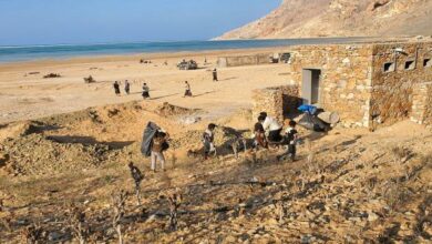 بدء حملة نظافة في محمية ديطوح بسقطري 6