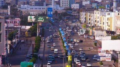 ضبط جاني في واقعة طعن نتيجة خلافات شخصية بعدن 8