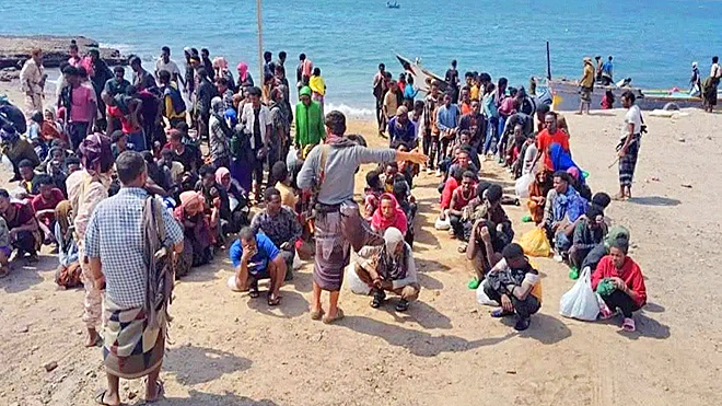 دفعة جديدة من المهاجرين غير الشرعيين تصل سواحل شبوة