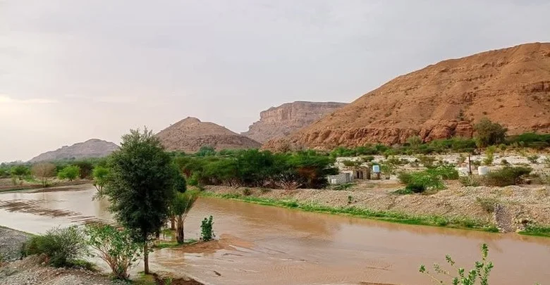 السيول تجرف سيارتين في مديرية الصعيد بشبوة دون تسجيل خسائر بشرية