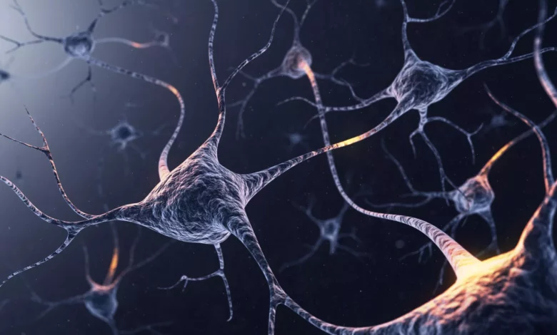 روسيا تطور أول «عصبون اصطناعي» لدراسة نشاط دماغ الإنسان 3