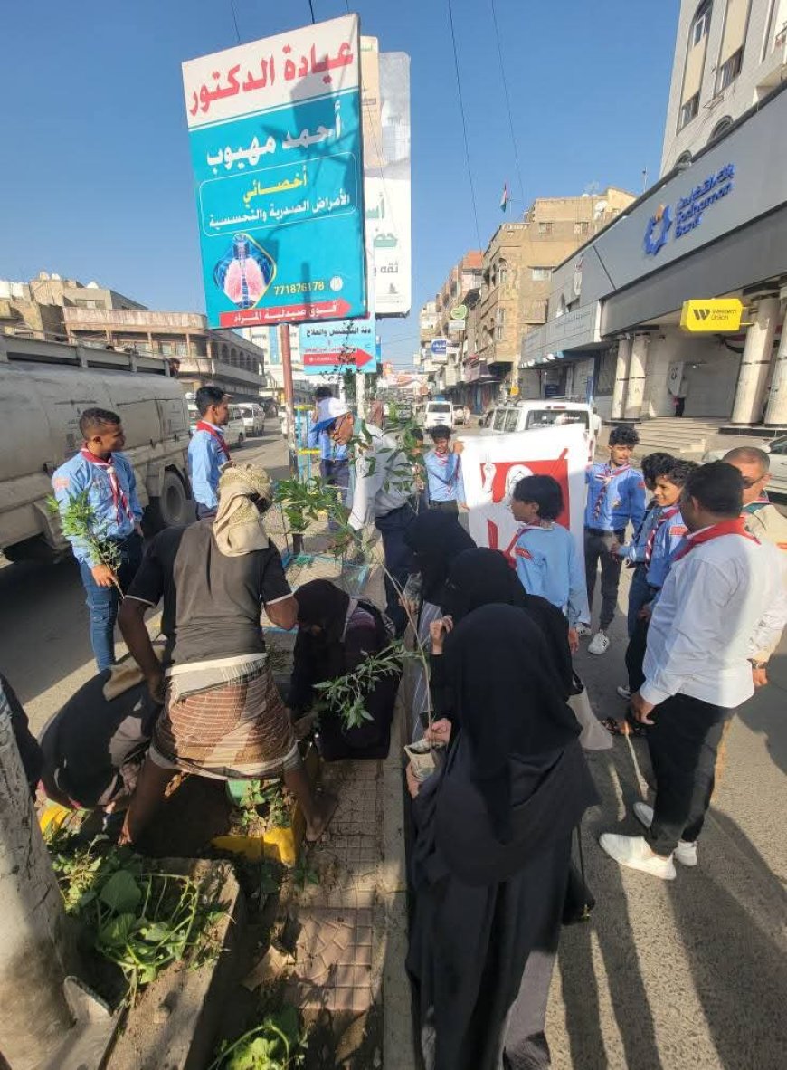 تعز تطلق حملة تشجير بزراعة 5 آلاف شجرة في شوارع المدينة