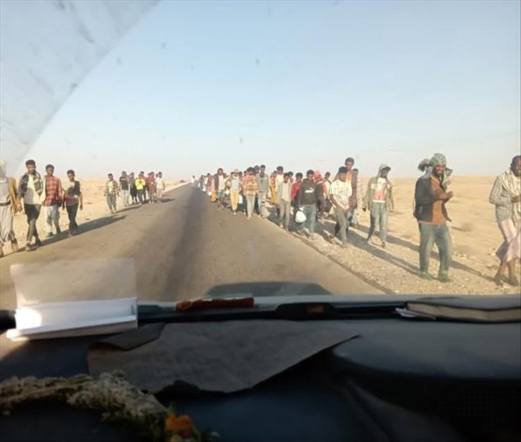 تدفق متصاعد للمهاجرين على سواحل شبوة… سيناريو يتكرر يومياً 1