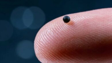 ابتكار مذهل.. روبوت بحجم حبة رمل قادر على السباحة داخل عروق الإنسان! 3