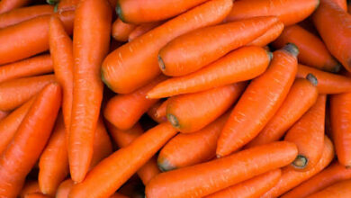 4 فوائد مذهلة للجزر… كيف يعزز تناولك اليومي للبصر؟ 2