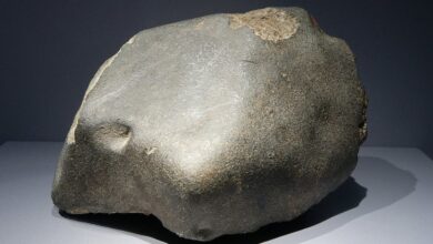 احتفظ بصخرة ظنها ذهباً.. وعندما فتحت كانت المفاجأة أغلى مما تخيّل! 2