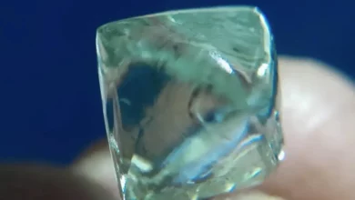 ألماسة نادرة تقود صديقين من الفقر إلى الثراء في الهند 2