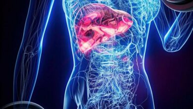 دراسة روسية تكشف العلاقة الخطيرة بين تليف الكبد وأمراض القلب 4