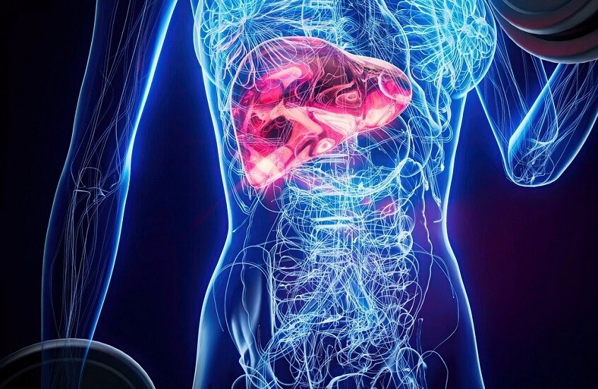 دراسة روسية تكشف العلاقة الخطيرة بين تليف الكبد وأمراض القلب 1