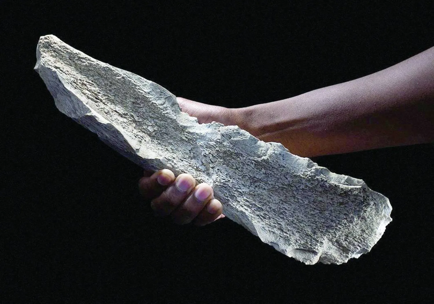 دراسة تكشف: أسلاف البشر يصنعون أدوات عظمية قبل مليون ونصف! 1