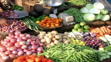 أسعار الخضروات في أسواق عدن اليوم الأربعاء 2