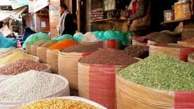 أزمة الاستيراد في اليمن: كيف يهدد التقليص استقرار الأسواق؟ 2