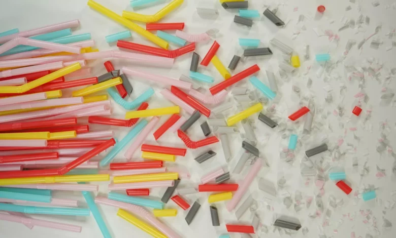 كيف تصل البلاستيكيات الصغيرة إلى وجبتك اليومية؟ طرق لتقليل التعرض 10