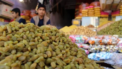 كيف يحسّن الزنك نومك ويقوّي مناعتك؟ 2