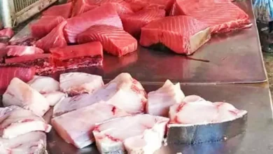 عدن.. غلاء السمك يضاعف معاناة الأسر ويهدد وجباتها اليومية 4