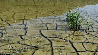 علماء يكتشفون الرابط الغامض بين الجفاف والفيضانات حول العالم! 3