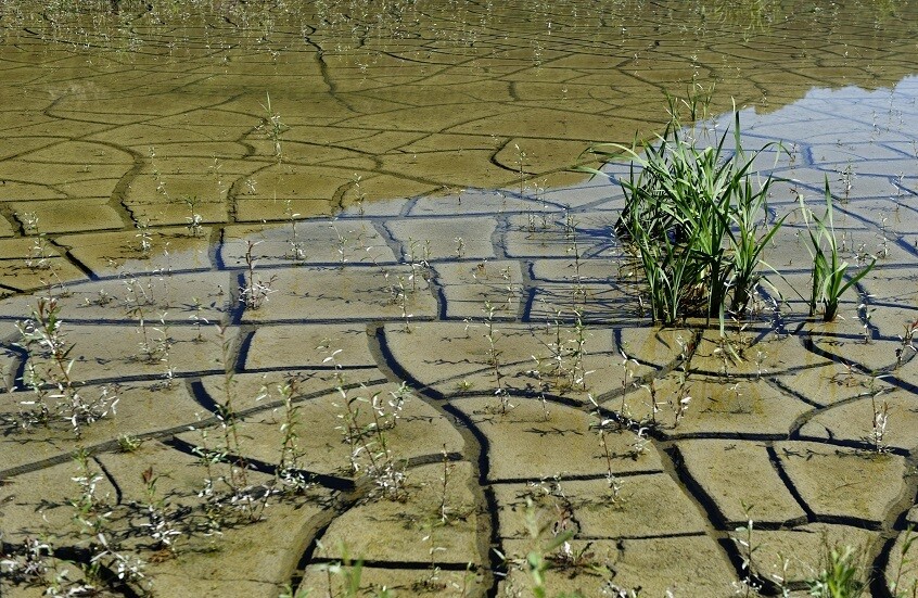 علماء يكتشفون الرابط الغامض بين الجفاف والفيضانات حول العالم! 1