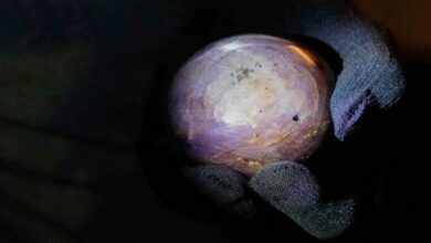 سريلانكا تفاجئ العالم: اكتشاف أكبر ياقوتة على الإطلاق! 2