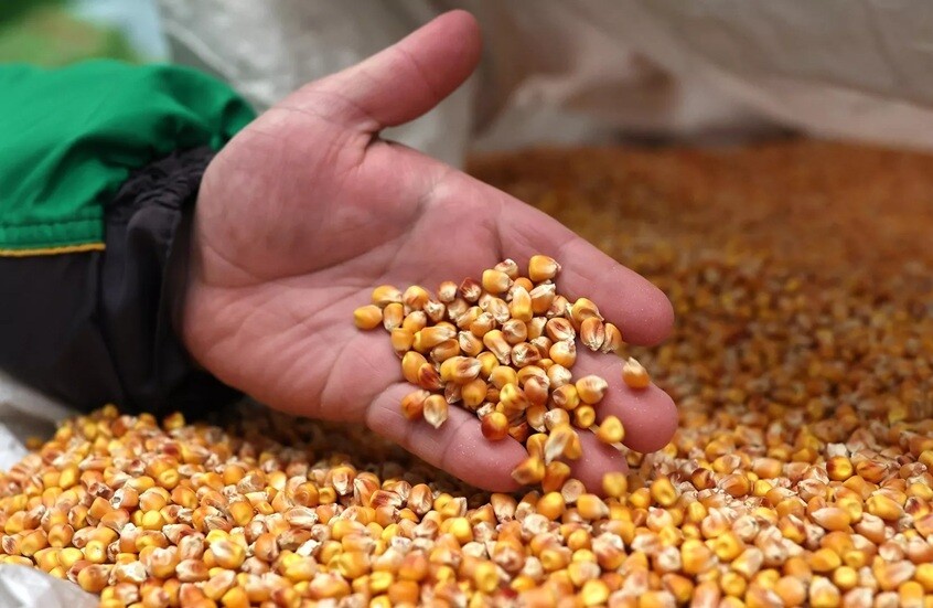 سر الفشار: كيف وأين انطلق انفجاره الأول؟ 1