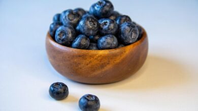 دراسات عالمية تكشف عن الكنز الطبيعي الذي يبطئ الشيخوخة ويحمي الصحة 2