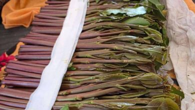 جنون أسعار القات يضرب عدن بشكل غير مسبوق 4