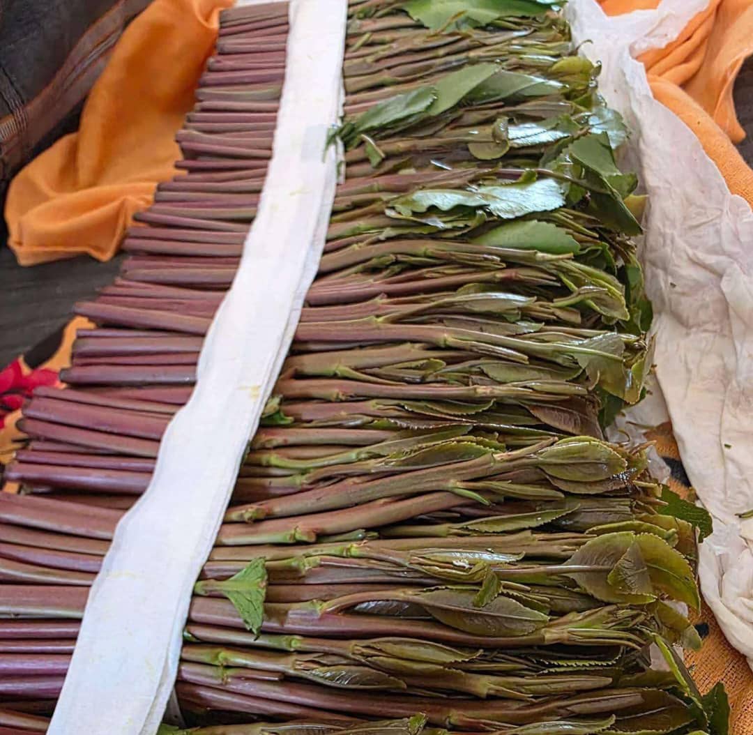 جنون أسعار القات يضرب عدن بشكل غير مسبوق