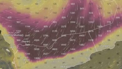 خبير أرصاد يحذر: عاصفة غبارية واسعة تضرب اليمن خلال الساعات القادمة 7