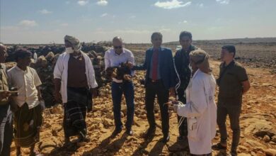 وفد وزارة الزراعة في زيارة ميدانية لدكسم ونوجد للاطلاع على واقع القطاع الزراعي وتعزيز التنمية 3