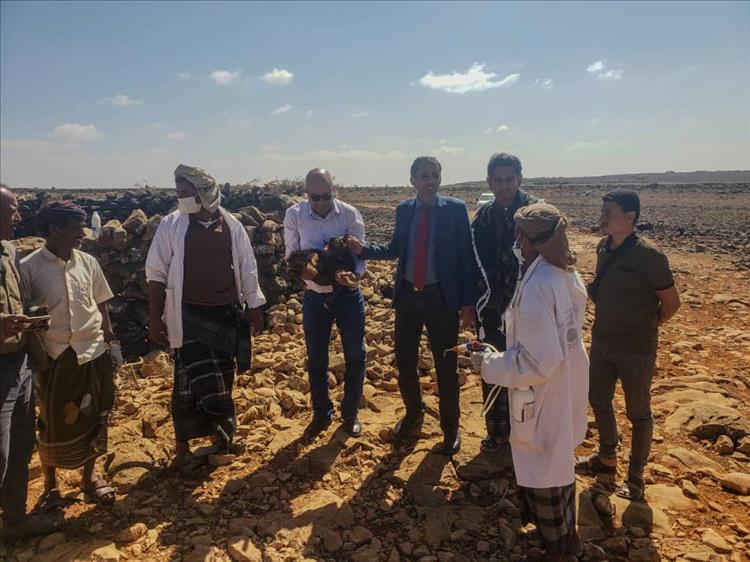 وفد وزارة الزراعة في زيارة ميدانية لدكسم ونوجد للاطلاع على واقع القطاع الزراعي وتعزيز التنمية 1