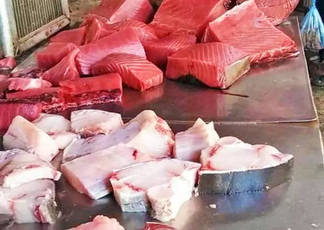 هيئة المصائد تعلن أسعار الأسماك الرسمية في عدن اليوم الأربعاء 2026/1/28م 1