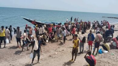 تسلسل الهجرة غير الشرعية في شبوة: وصول دفعة جديدة من المهاجرين 2