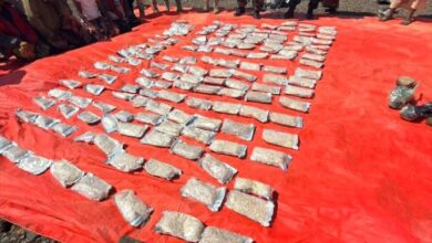 الإدارة العامة لمكافحة المخدرات تكشف حصيلة صادمة لعام 2025 2