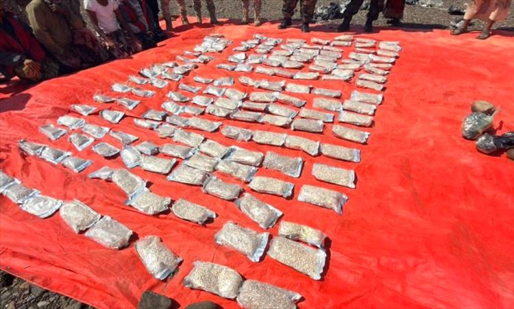 الإدارة العامة لمكافحة المخدرات تكشف حصيلة صادمة لعام 2025 1