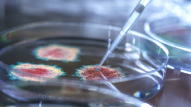 علماء يكشفون عن لقاح ثوري يحمي من نزلات البرد والإنفلونزا و«كوفيد-19» في جرعة واحدة 3