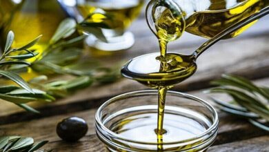 دراسات جديدة تكشف كيف يحافظ زيت الزيتون على صحة الدماغ مع العمر 2
